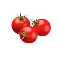 עגבניה מגי
