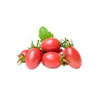 עגבניות שרי תמר